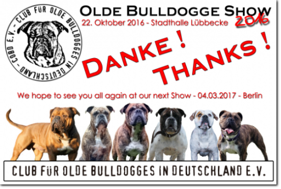 Danke -  COBD Olde Bulldogge Show 2016